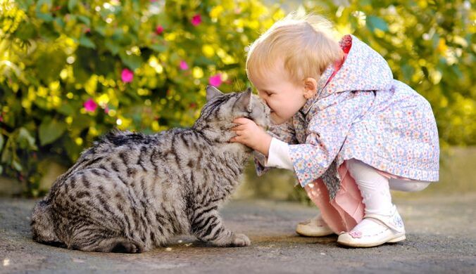 The child kissed the cat and got worms