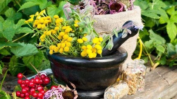 Anti-worm herbs