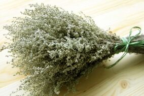 mugwort to remove parasites