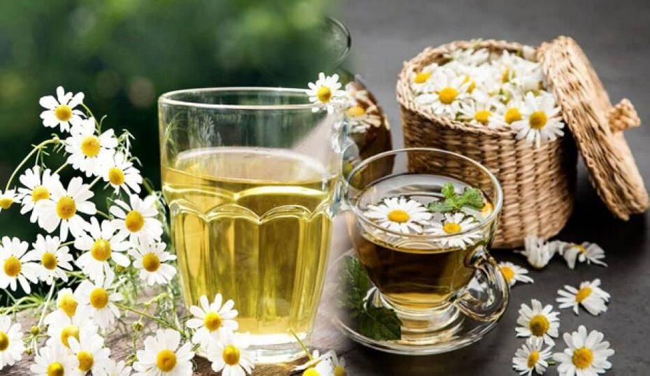 decoction of chrysanthemum for parasites